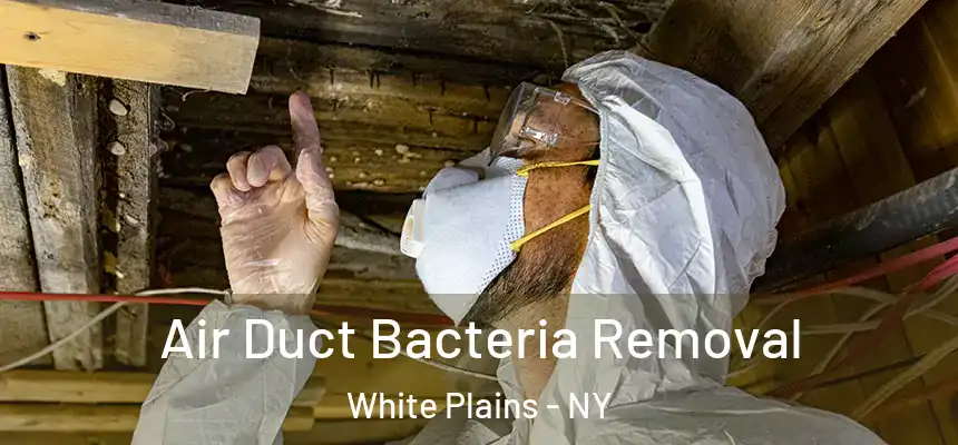  Air Duct Bacteria Removal White Plains - NY