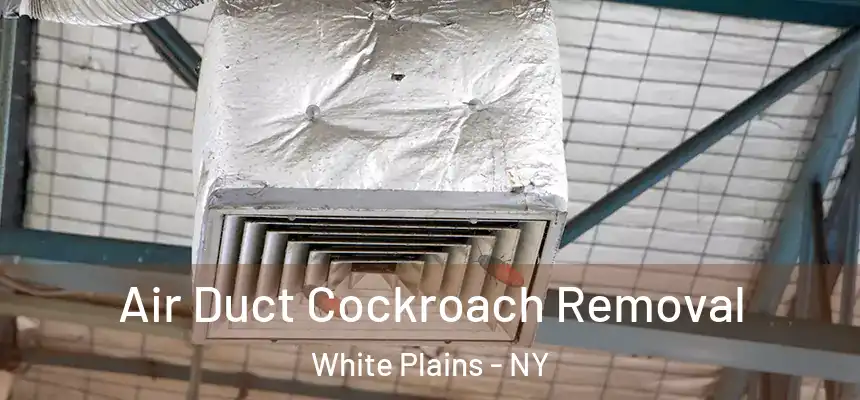  Air Duct Cockroach Removal White Plains - NY