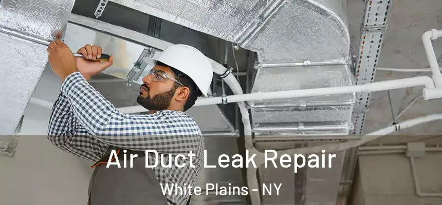  Air Duct Leak Repair White Plains - NY