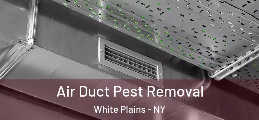 Air Duct Pest Removal White Plains - NY