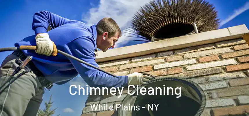  Chimney Cleaning White Plains - NY
