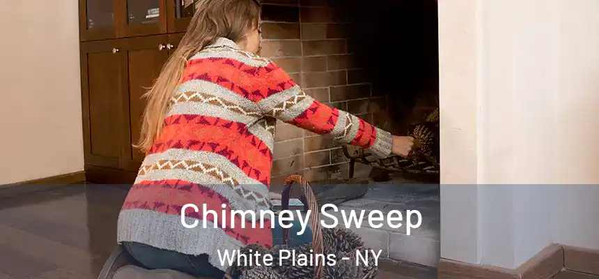 Chimney Sweep White Plains - NY