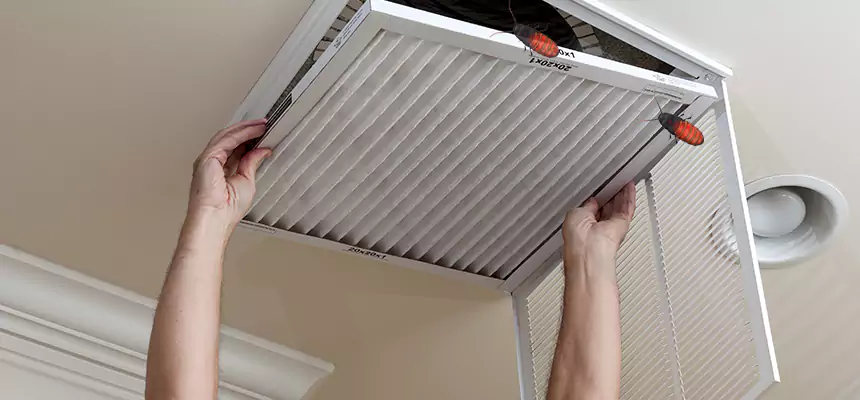 Preventive Cockroach-Proofing for Ducts in White Plains