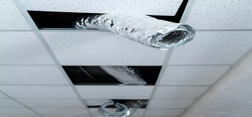 Affordable HVAC Sanitizing After Pest Removal in White Plains