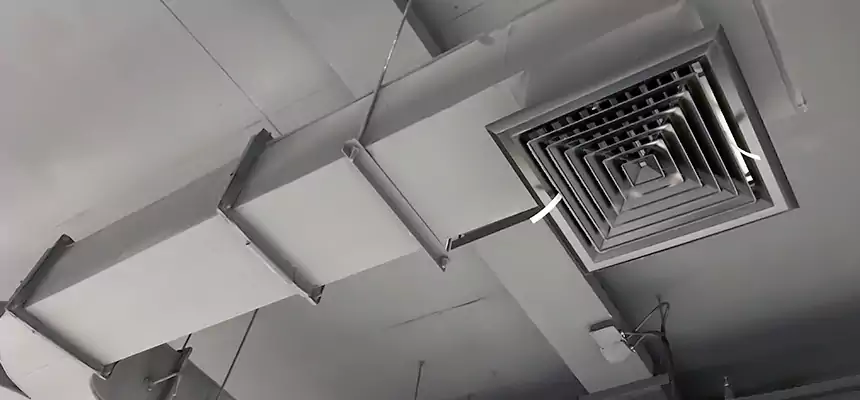 Restorative Allergy Relief Vent Cleaning – Coil, Blower & Housing Detail in White Plains