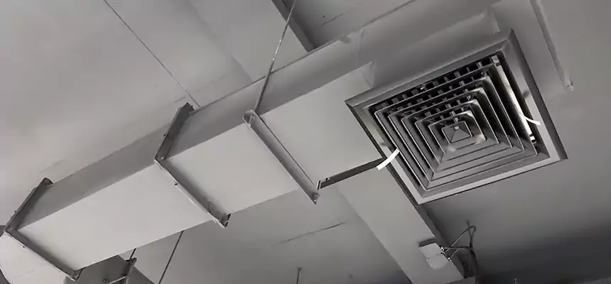 Our Pest Removal From Ducts Services in White Plains, NY