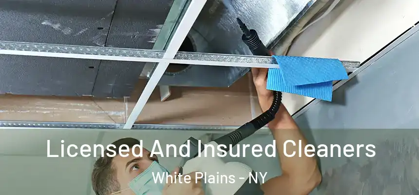 Licensed And Insured Cleaners White Plains - NY
