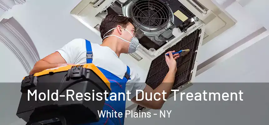  Mold-Resistant Duct Treatment White Plains - NY