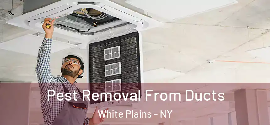 Pest Removal From Ducts White Plains - NY