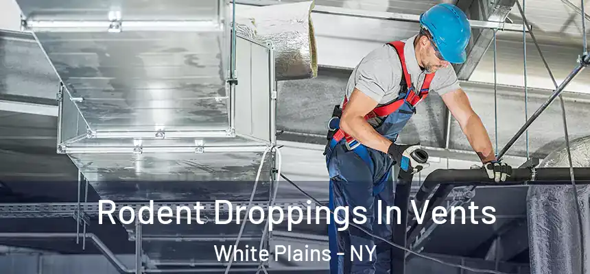  Rodent Droppings In Vents White Plains - NY