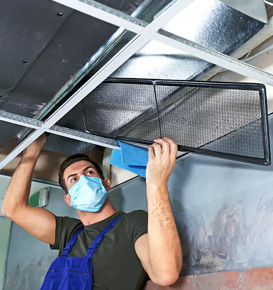 About Air Duct Bacteria Removal in White Plains