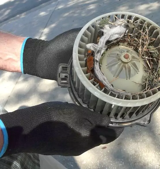 About Air Duct Mice Removal in White Plains, NY