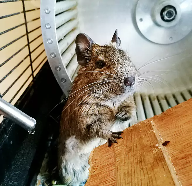 Why Homeowners & Businesses Trust Us White Plains, NY